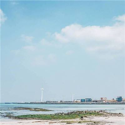 我在后宫当皇帝最新版下载