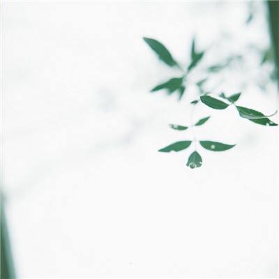 御剑八荒无限铜币元宝版下载